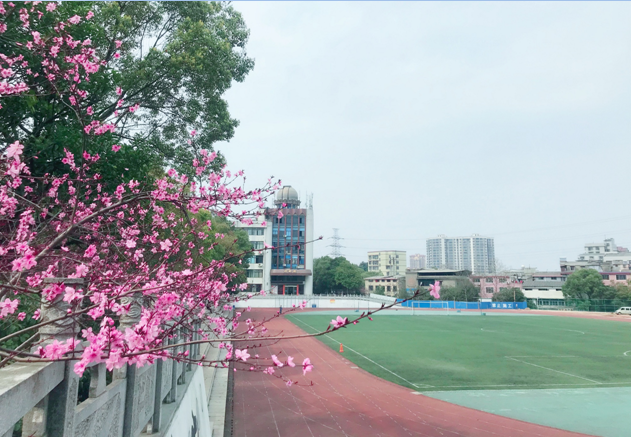 整体支出绩效自评报告