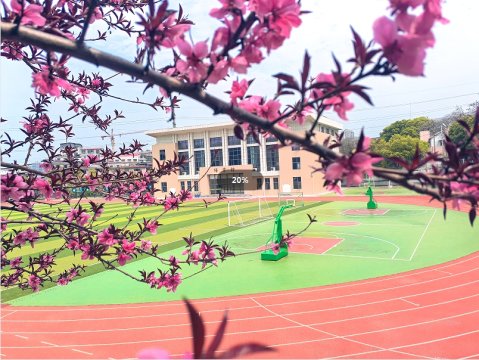 <b>春信至，这张来自十三中校园的春日信笺请签收</b>